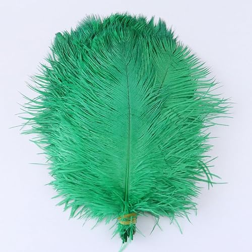 10 Stück natürliche Straußenfedern für Hochzeiten, Partys, Tischdekoration, mehrfarbig, Federn, Kostüm, Party, Show-Zubehör, 15–35 cm, grasgrün, 15–20 cm, von YOLNEY