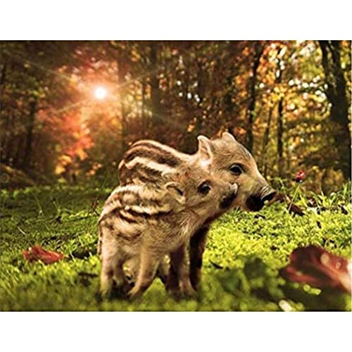 YSCOLOR Diamant Painting 5D Diamant Malerei Kits Wildschwein Diy Full Drill Strass Stickerei Bilder Diamond Art Kits Für Erwachsene Geschenk Z1828 30x40cm von YSCOLOR