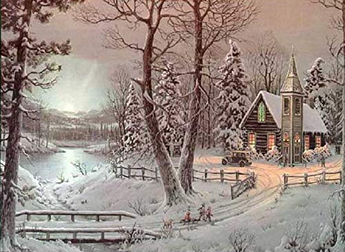 YSCOLOR Diamant Painting 5D Im Winter Wald Schnee DIY Diamant Malerei Runde Bohrer Klebte Malerei Strass Malerei Handwerk 30X40cm von YSCOLOR