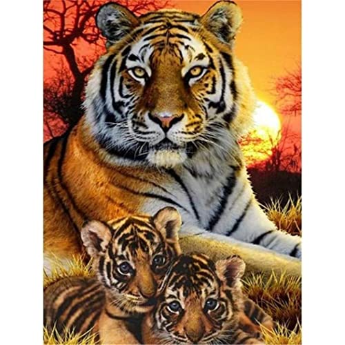 YSCOLOR Diamant Painting Diy 5D Diamant Malerei Kits Tier Tiger Mama Und Baby Malen Mit Vollbohrer Round Diamond Art Embroidery Kits Wanddekoration 30x40cm von YSCOLOR