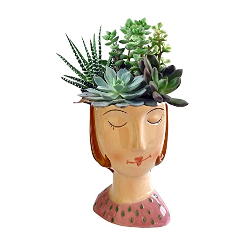 Gesichtsvase, Statue Blumentopf Kunstharzköpfe Pflanztopf Gesicht Pflanzenvase Gesicht Blumenkopf Blumentopf für Geburtstagsgeschenke Home Office Garden Tischdekoration von YWNYT