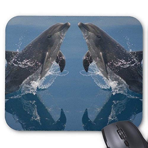 Yanteng Die ziffer 7 MP28 Delfin - Mousepad der Maus zu schreiben Matte rechteck Dekoration - Mousepad von Yanteng