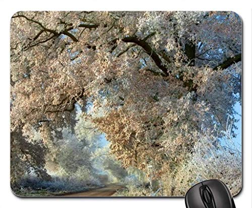 Fine dauerhafte Gemeinsame Kanten Gaming Mouse pad, schöne landstraßen Winter Mousepad, Maus - Pads (Forest Mouse pad) von Yanteng