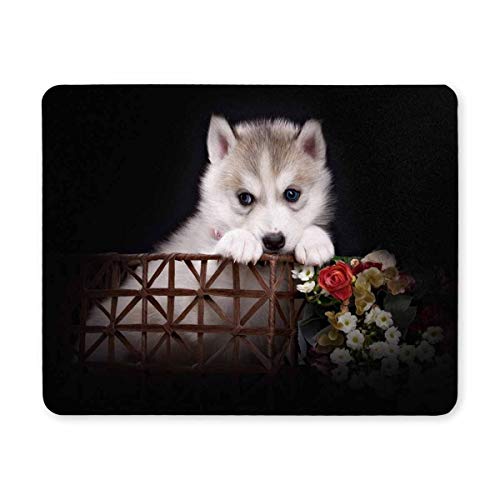 Gaming Mouse pad, Maus - Pads welpen in einen Korb einzigartige Design - Mousepad, Anti - rutsch - Basis von Yanteng