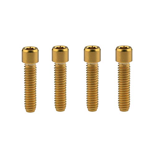 Yaruijia Titan-Schrauben, M4 x 10, 13,5, 15, 20, 25 mm, Vierkantschrauben für Fahrrad-Daumenschaltung, 4 Stück (M4 x 25 mm, Gold) von Yaruijia