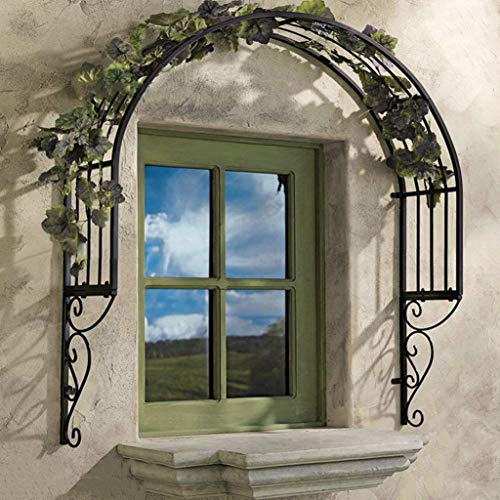 Yclty Rosenbogen Torbogen Eisen Fenster Türverkleidung Wandgitter für Kletterpflanzen Ivy Roses Cucumbers Clematis, Schwarz/Bronze/Weiß von Yclty