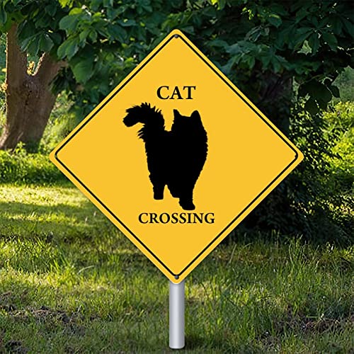 Katze Xing Katze Kreuzung Warnschild Metallschild Katze Dekor Neuartige Straße Blechschild Vorsicht Gefahr Tier Xing Straßenschild Vintage Wanddekoration für den Innenbereich 30,5 x 30,5 cm von Yelolyio