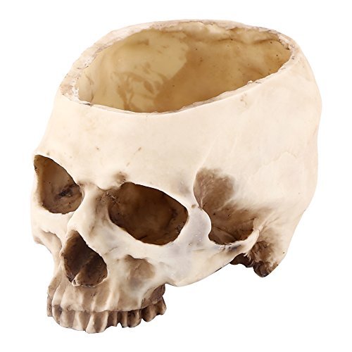 Yosoo Multifunktionale Künstliche Resin Harz Schädel Totenkopf Deko Aschenbecher Blumentopf Pflanzen Schüssel Container Tabletop Lagerung zu Allerheiligen Halloween für Haus Bar Tischdekoration Gar von Yosoo