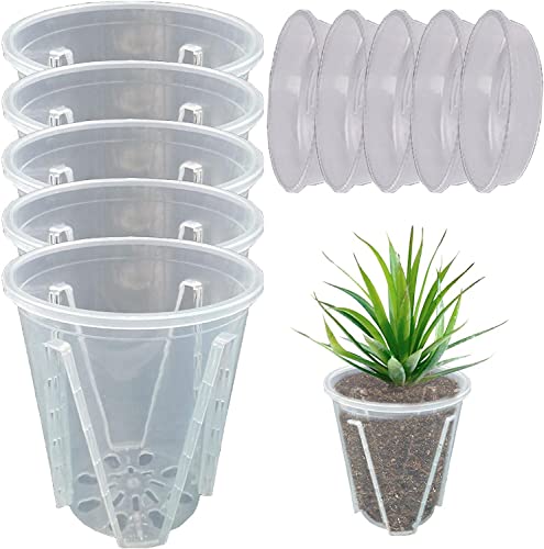 5 Stück Orchideentopf Transparent Orchideentöpfe Übertopf mit Untertassen Kunststoff Orchideentopf Pflanztöpfe für Orchideen Orchidee Blumentopf für Indoor Outdoor Balkon Schreibtisch (24cm+Tablett) von Youning