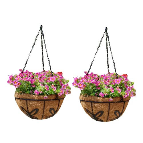 Youning 2 Stück Metall Blumenampel mit Kokosmatte, Hängeampel für Pflanzen Draußen, Blumentöpfe Zum Aufhängen Mit Kokos Liner, Rund Hängend Blumentopf Hängetopf für Indoor Outdoor (2PC-12 Zoll-30.5Cm) von Youning