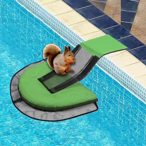 Youning Rettungsrampe Pool für Tiere Tierrampe Kleintier Swimming Fluchtrampe Aufblasbarer Pool Rampe Gerät Tierrettungs Critter Escape Ramp Schwimmende Rampe Rettungen Werkzeug & Zubehör (Grün) von Youning