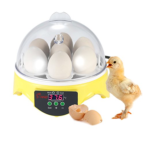zjchao Inkubator 7 Eier Kontrolle der Temperatur Digital Hatchery für Geflügel Huhn Ente Wachtel die Inkubation der Eier Zucht von ZJchao