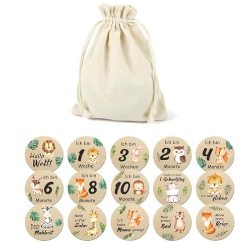 ZONTTR 15 Wunderschöne Baby-Monatskarten – Doppelseitige Meilenstein-Holzkreise mit Geburtszeichen für Mädchen und, Einfach zu Verwenden von ZONTTR