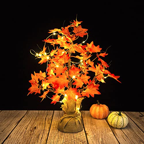 ZWMBYN Tischplatte Herbst beleuchteter Ahornbaum, 45,7 cm batteriebetriebenes Licht Kürbis Thanksgiving Ahorn LED-Licht, künstlicher beleuchteter Baum für Innenbereich, Herbst, Hochzeit, Party, von ZWMBYN