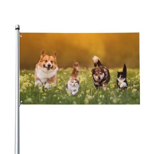 150 x 90 cm (5 x 3 Fuß) Haustiere Zwei Katzen Hunde Walking In Wiese Flagge für Haus Rasen Hängende Dekoration Hofbanner Urlaub Willkommen Flaggen mit 2 Metallösen, für drinnen und draußen von Zhimahou