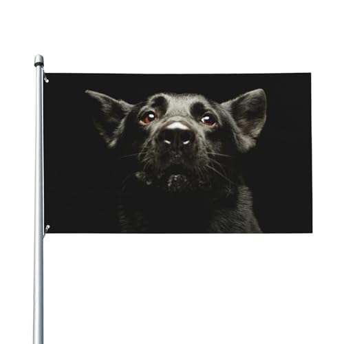 150 x 90 cm (5 x 3 Fuß) Portrait eines schönen Schäferhundes, Flagge für Haus, Rasen, hängende Dekoration, Hofbanner, Urlaub, Willkommensflaggen mit 2 Metallösen, für den Innen- und Außenbereich von Zhimahou