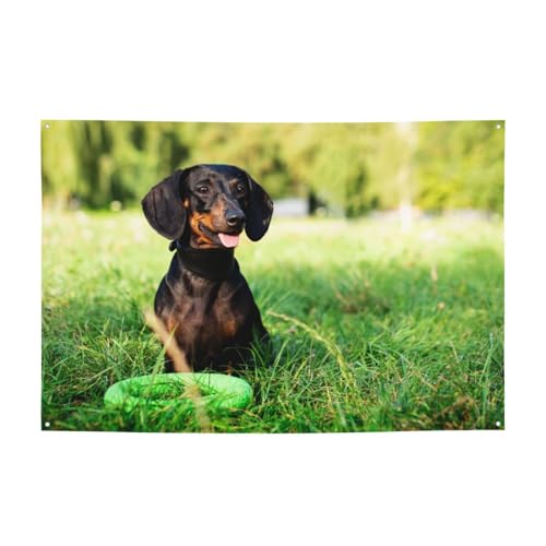180 x 120 cm, schwarzer Dackel-Hund sitzt auf Gras, einseitig bedruckt, Urlaubsbanner für Haus, Rasen, zum Aufhängen, Dekoration, Hof, Willkommensflaggen, für drinnen und draußen von Zhimahou