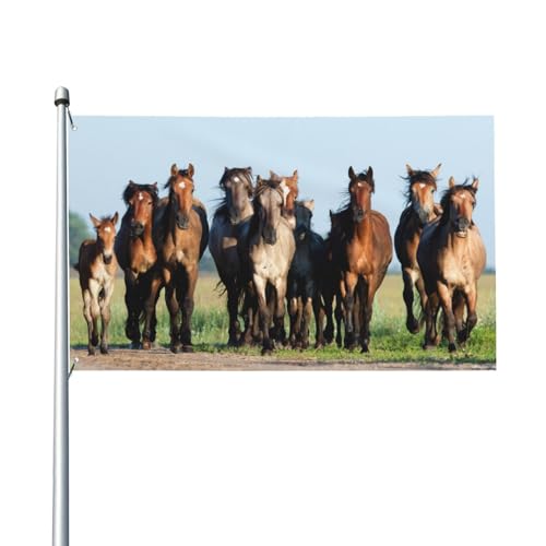 180 x 120 cm (6 x 4 Fuß), eine Herde von Pferden im Feld, Flagge für Haus, Rasen, zum Aufhängen, Dekoration, Hofbanner, Urlaub, Willkommensflaggen mit 2 Metallösen, für den Innen- und Außenbereich von Zhimahou