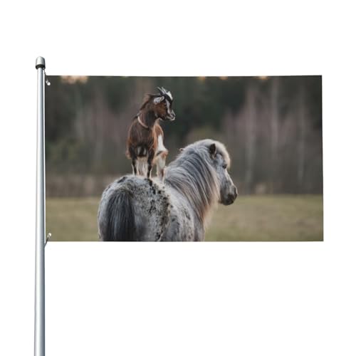 180 x 120 cm (6 x 4 Fuß), lustige Tiere, Ziege steht auf Pferd, Flagge für Haus, Rasen, zum Aufhängen, Dekoration, Hofbanner, Urlaub, Willkommensflaggen mit 2 Metallösen, für drinnen und draußen von Zhimahou