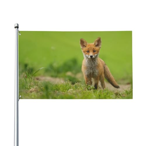 Niedliche rote Fuchs-Flagge für Haus, Rasen, zum Aufhängen, Dekoration, Hofbanner, Urlaub, Willkommensflaggen mit 2 Metallösen, für drinnen und draußen, 150 x 90 cm von Zhimahou