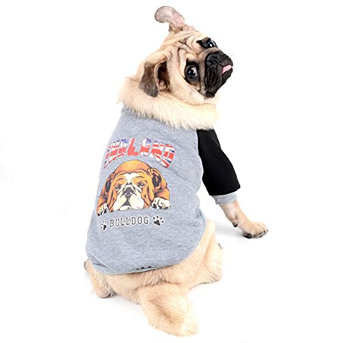 Zunea Französische Bulldogge Kleidung Hund Winter Hundepullover Mantel Bulldog Muster Weich Warm Hund Bekleidung Sweatshirts Haustier Kleidung für Bulldoggen Pitbulls Grau L von Zunea