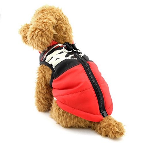 ZUNEA Gepolsterte Warme Kleine Hund Katze Weste Mantel Jacke Welpe Weste Harness Pet Winter Kleidung Doggie Jumper Chihuahua Overalls Bekleidung Red Skull S von Zunea