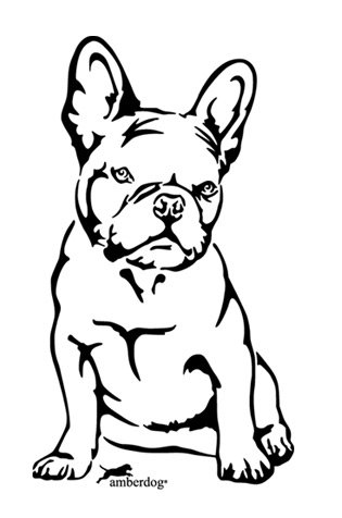 Französische Bulldogge French Bulldog Autoaufkleber Fensterfolie Art.Nr.AT0122, Aufkleber amberdog (20x15cm, weiß) von amberdog