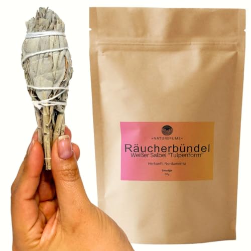 Räucherbündel | Smudge | Räucherwerk | Verschiedene Kräuter und Düfte (Weißer Salbei - 20g) von aqasha