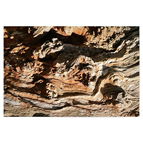 artboxONE Poster 150x100 cm Natur Baumholzrinde hochwertiger Design Kunstdruck - Bild baumrinde abstrakt bark von artboxONE