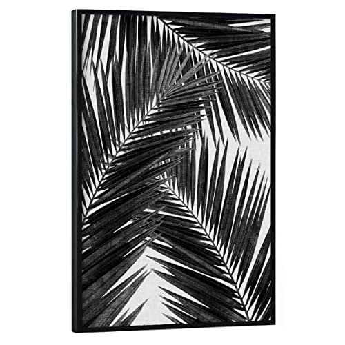 artboxONE Poster mit schwarzem Rahmen 90x60 cm Natur Cohune Palm III Black White - Bild palmblätter schwarzweiß von artboxONE