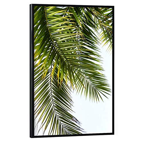 artboxONE Poster mit schwarzem Rahmen 90x60 cm Natur Green Palm Leaves - Bild Palme Palme palmenblätter von artboxONE