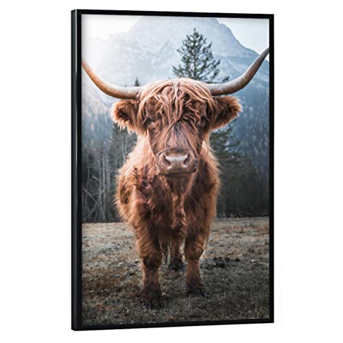 artboxONE Poster mit schwarzem Rahmen 90x60 cm Natur Highland Cow in Nature - Bild Highland Berge Cow von artboxONE