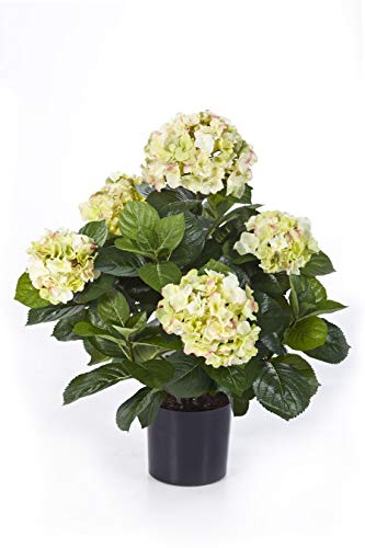 artplants.de Deko Hortensie Haruka, 230 Blüten, 135 Blätter, Creme - grün, getopft, Deluxe, 55cm, Ø 35cm - Hortensien künstlich - Kunstblumen im Topf von artplants