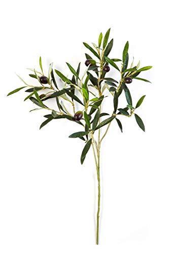 artplants.de Deko Olivenzweig, 105 Blätter, 6 Oliven, grün, 50cm - Künstlicher Olivenzweig - Deko Zweig von artplants