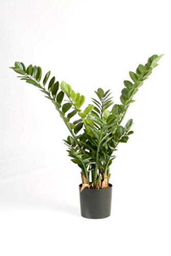 artplants.de Deko Smaragd Zamioculcas AKONO, 201 Blätter, 90cm - Kleiner Dekobaum - Kunstpflanze von artplants.de