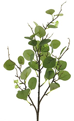 artplants.de Dekozweig Eukalyptus YURUO mit Blüten, grün, 90 cm - Eukalyptuszweig künstlich von artplants