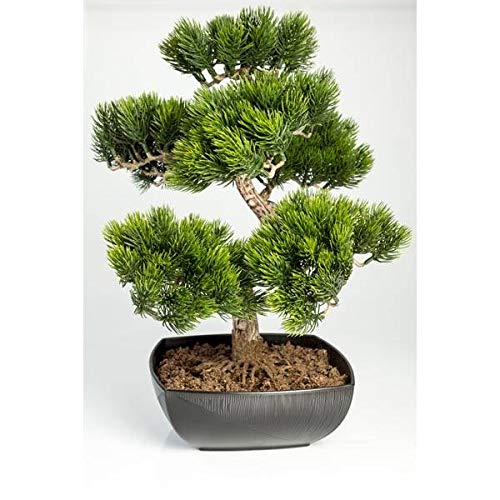 artplants.de Künstliche Bonsai Pinie in Schale, 210 Spitzen, 50cm, Outdoor - hochwertiger Kunstbonsai Kunststoff Bonsai von artplants