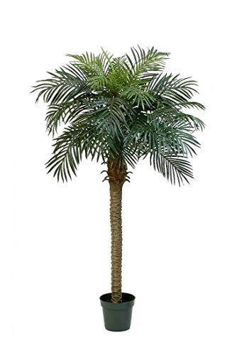 artplants.de Künstliche Phönix Palme, 28 Palmwedel, 180cm - Dekopalme - Kunst Palme von artplants