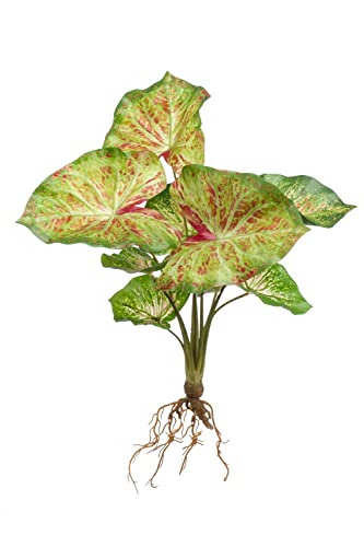 artplants.de Kunst Syngonium Podophyllum AKAYU, Steckstab, Wurzeln, grün-rot, 40cm - Grünpflanze künstlich von artplants.de