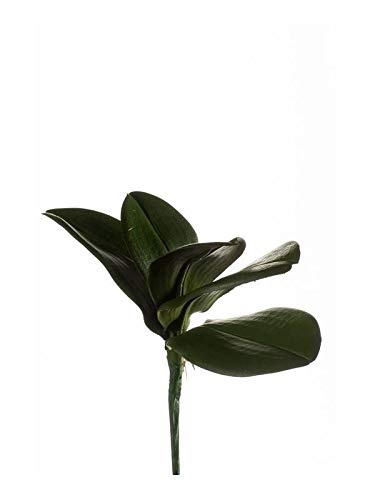 artplants.de Kunstblatt Phalaenopsis Orchidee NIUT, Steckstab, grün, 25cm - Deko Orchidee - Textilblume Orchidee von artplants
