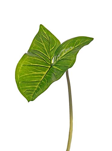 artplants.de Kunstblatt Syngonium Blatt Jordan, grün, 50cm - Kunstpflanze Purpurtute - Deko Blätter von artplants.de