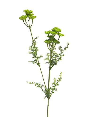 artplants.de Kunstblumen Zweig Schafgarbe YISUAN, hellgrün, 50 cm - Künstliche Blume von artplants