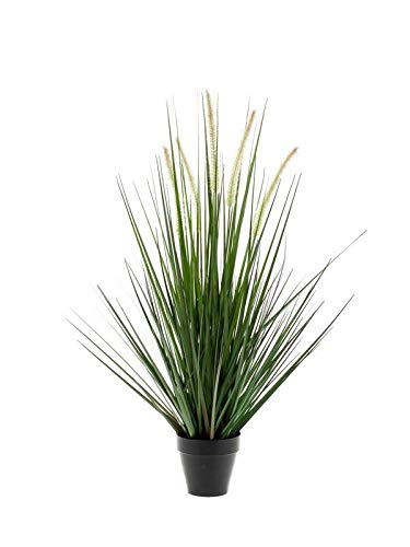 artplants.de Kunstgras Fuchsschwanzgras Otis mit Rispen, grün, 55cm - Ziergras künstlich von artplants