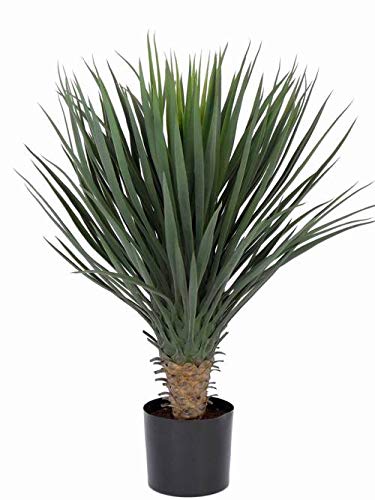 artplants.de Kunstpalme Yucca Rostrata Drake, 80cm, Ø 60cm - Deko Palme von artplants