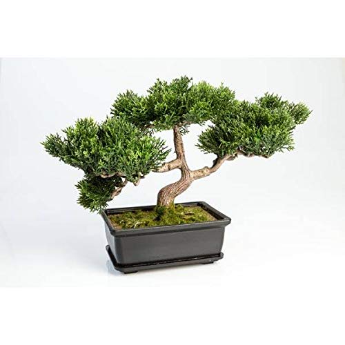 artplants.de Künstlicher Bonsai Ceder, 120 Zweige, im Topf, 25cm - Hochwertiger Kunstbonsai von artplants