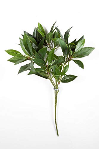 artplants.de Deko Lorbeerkirschzweig KAMIRAN, 70 Blätter, grün, 45cm - Zweig künstlich - Kunstpflanze von artplants