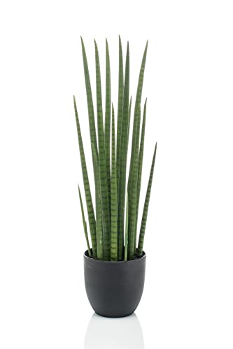 artplants.de Kunst Sansevieria Cylindrica KICHIRO im Dekotopf, grün, 70cm - Kunststoff Sukkulente von artplants