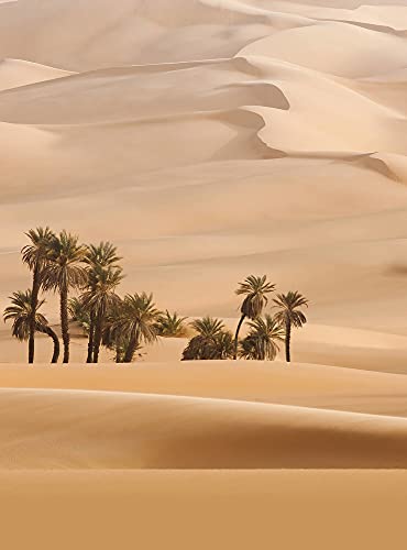 Fototapete Natur Palmen Landschaft Wüste Sand Schlafzimmer Wohnzimmer | 1,92 m x 2,6 m | Beige/Creme, Braun, Grün von awallo