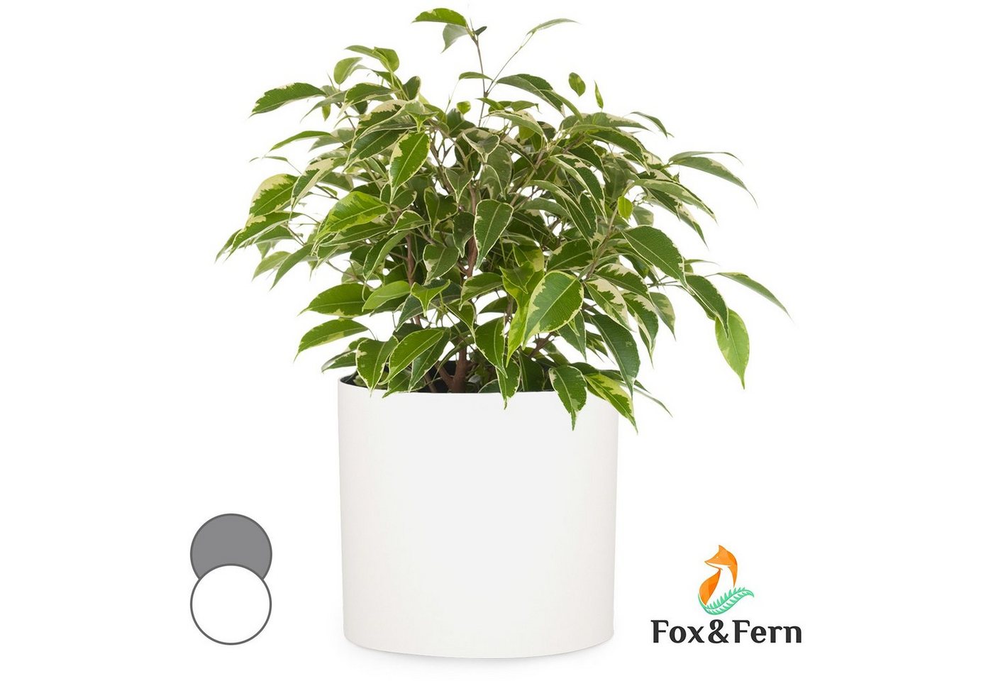 Fox & Fern Hochbeet Venlo Blumentopf von Fox & Fern