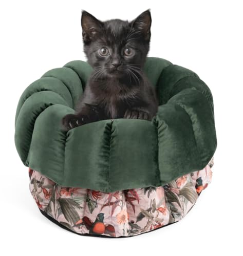 bo&flash Flauschiges Katzenbett Los Angeles – Trendiger Katzen Schlafplatz Waschbar und ohne Schadstoffe – Rundes Design Haustierbett mit hochwertigem Flanellbezug – 45 x 23 cm – Elodie von bo&flash